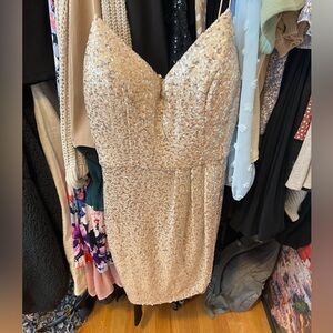 Windsor sparkle dress